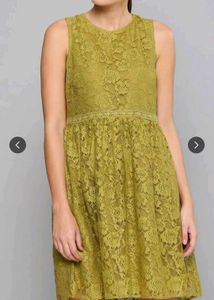 Olive Lace A-Line Dress with Bow Detail