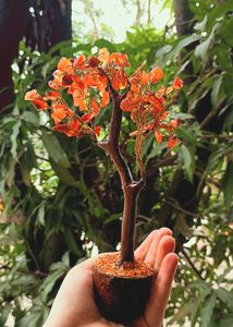 ✨ showpiece Golden Blossom Tree 🌳🤎