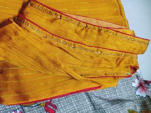 New Saree With Designar Blause