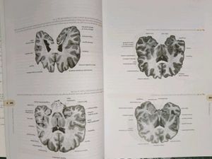 Manual of Practical Anatomy