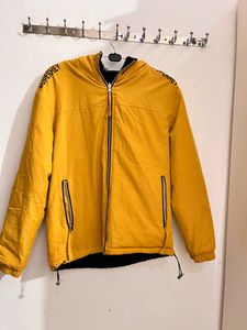 Jacket Imported