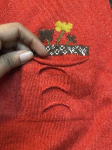 Red Embroidered Sweater Vest