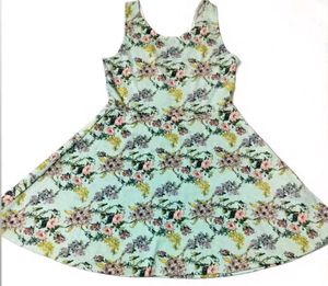 Floral Print Sleeveless Mini Dress