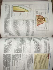 Inderbir Singh's Textbook of Human Histology