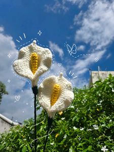 Handmade Crochet Calla Lily