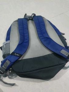 Stylish Blue Backpack