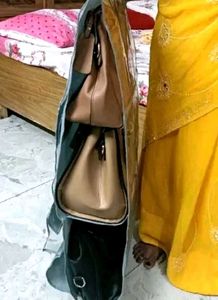 Hanging Handbag Organizer