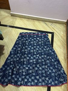 Kalamkari hand painted skirt