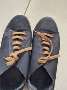 rare rabbits shoes