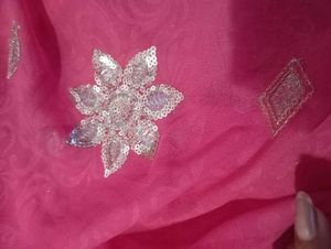 Silver Sitara Work Pink Saree