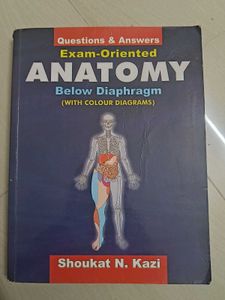Exam-Oriented Anatomy Below Diaphragm