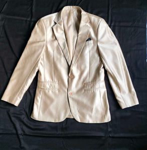 Champagne Silk Coat (2)