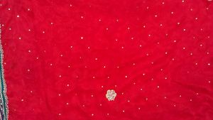 Red Embellished Saree