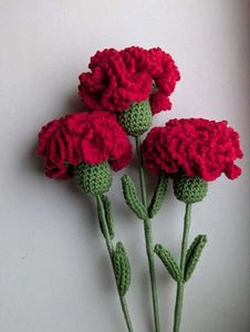 Handmade Crocheted Carnation Flowers