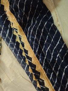 Lehenga Choli Set