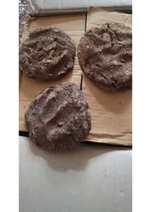 Cow Dung