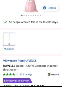 Garment Steamer