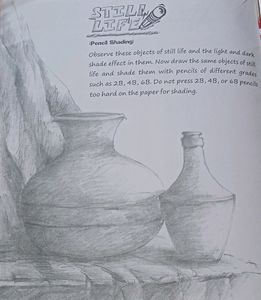Still Life Shade Drawing