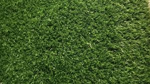 Green Mat Not Used Good Quality