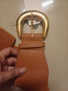 Elastic Belt with Gold Buckle