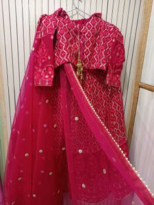 Elegant Pink Embroidered Ethnic Lehnga choli