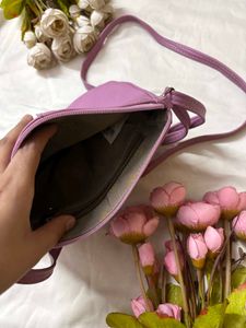 Baggit Pink Crossbody Sling Bag