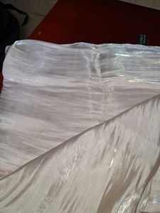 Elegant Shimmering Dupatta