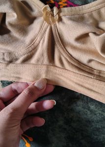 Seamless tshirt Bras - Pack of 3