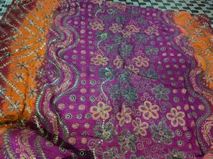 Vibrant Saree with Sequins