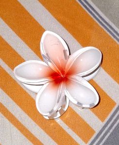 Beautiful Flower Hair Clip