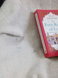 The Forty Rules of Love by Elif Shafak