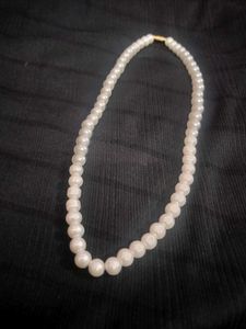 Elegant real Pearl Necklace✨🤍