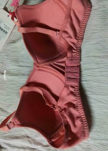 Soft Peach Colour New 32 Size Lightly Padded Bra
