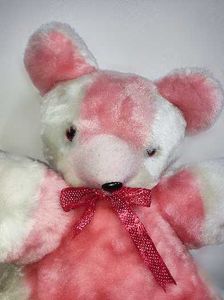 Cute Pink and White Teddy Bear