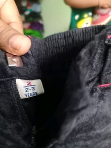 Combo Branded Pants