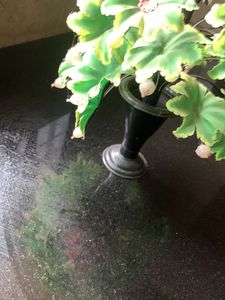 Flower Show