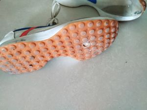 Sport Shoes