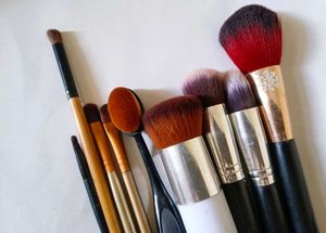 Assorted Makeup Brush Set