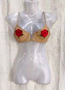 489. Sexy nude bra
