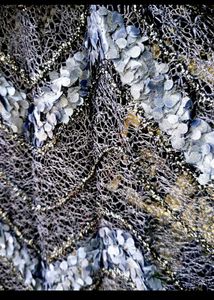 brand new Elegant Navy Lace Overlay Dress