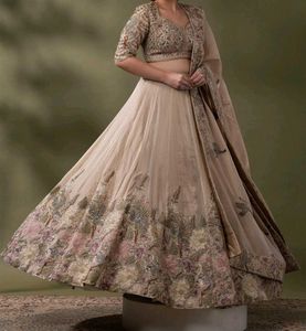 Champagne Gold Embroidered Lehenga Set