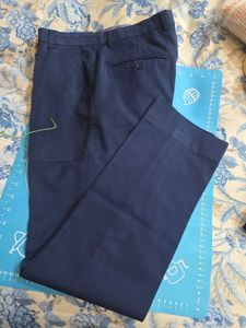 Men's Blue Textured Dress Pants