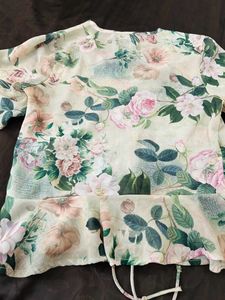 Sassafras Green Top
