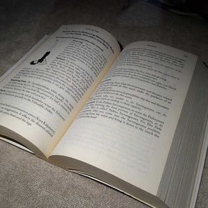 Mastering Yoga Book