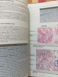 DiFiore's Atlas of Histology, 12th Ed