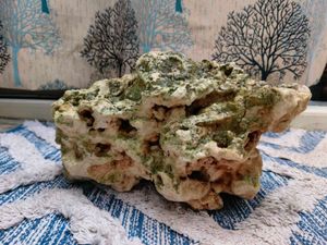 Texas Holey Rock for aquascaping.