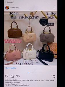 Chic Mini Coach