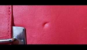 Stylish Red &amp; Brown Clutch