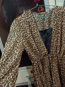 Leopard Print Fit &amp; Flare Dress