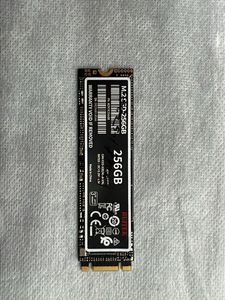 256GB M.2 SSD